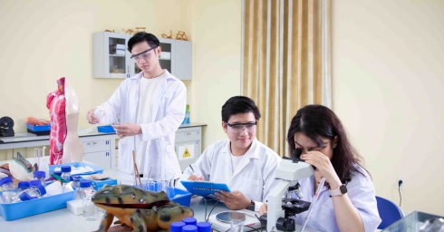 Lab
